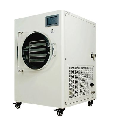 Sebze için Vakum Dondurarak Kurutma Makinesi Elektrikli Isıtma Süblimasyon Kurutucu